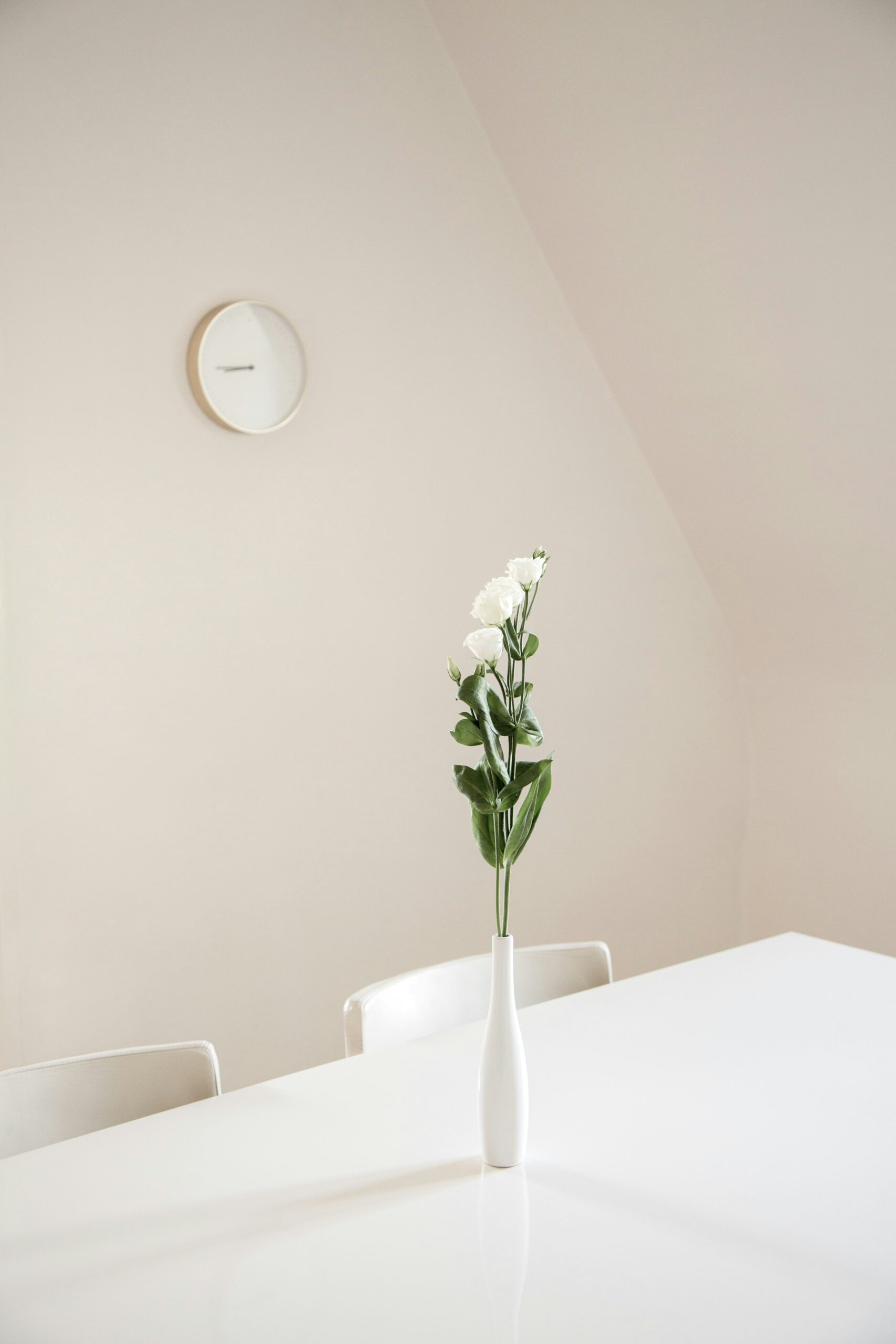 mathieu-perrier-44OaWM_ObWk-unsplash